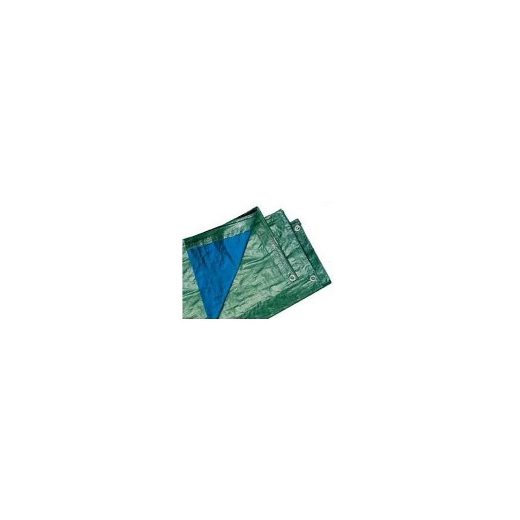 Telone Occhiellato Pesante 200g, 10x12m, Blu/Verde