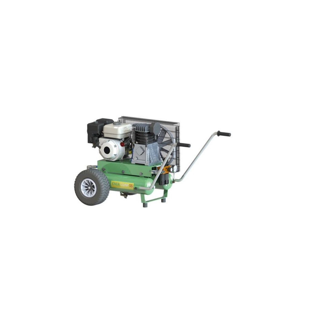 MINELLI Motocompressore Ener Comp 55 Litri 11+11